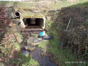 Busage du ruisseau du Chalin Bruyère