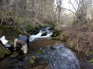 Prélèvement d'eau sur la Monne amont (Bearea)