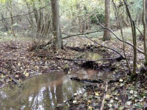 Planches secteur amont à Ecrevisse Pieds Blancs