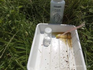 Récolte Diatomées sur la Veyre