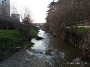 Yzeron aval- restauration morphologique secteur aval
