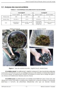 Analyse macroinvertebres