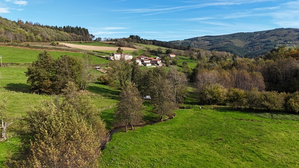Ardières - Vallon en tête de bassin